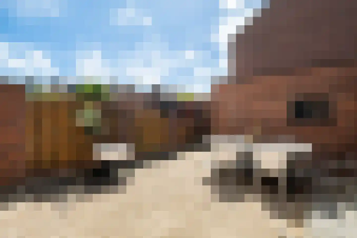 Jade 4 's-Gravenzande thumbnail 39