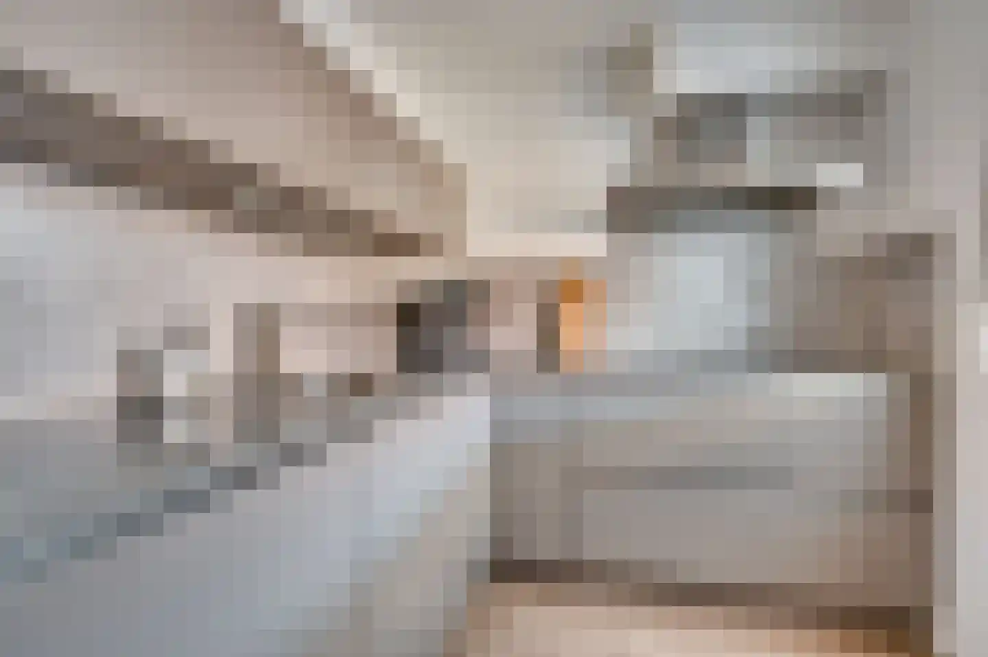 Jade 5 Venlo thumbnail 14