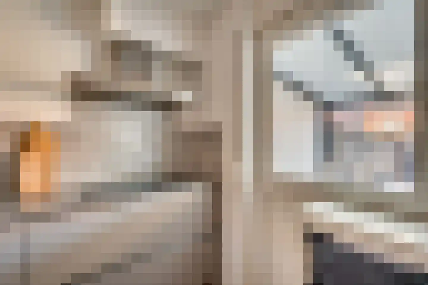 Jade 5 Venlo thumbnail 15