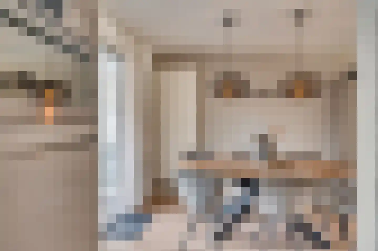 Jade 5 Venlo thumbnail 16