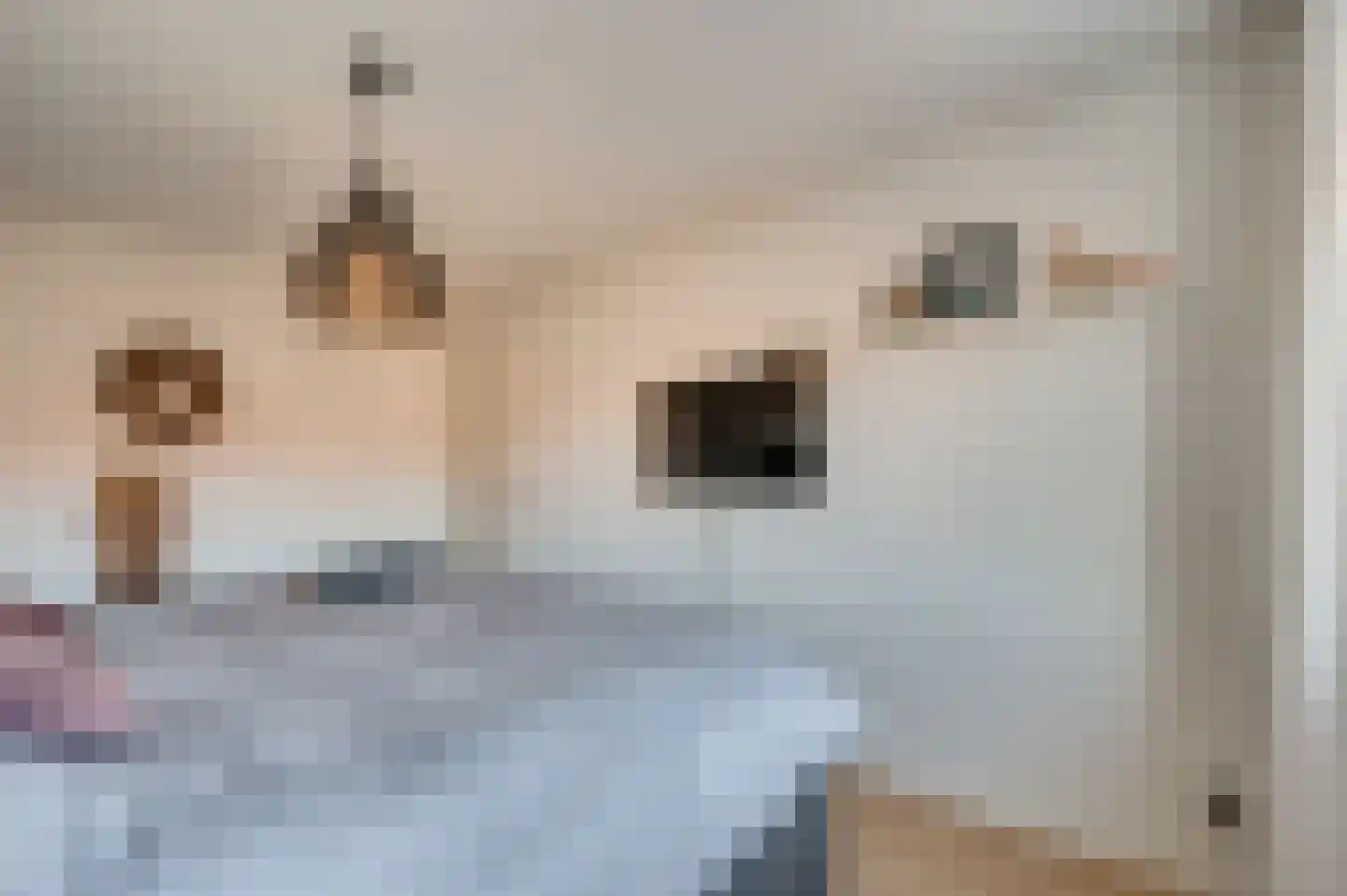 Jade 5 Venlo thumbnail 25