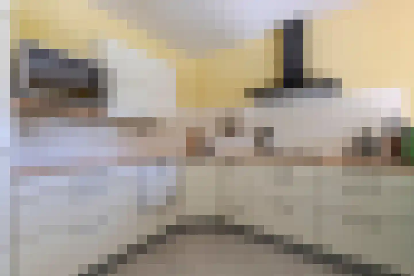 Jade 93 Heerhugowaard thumbnail 19