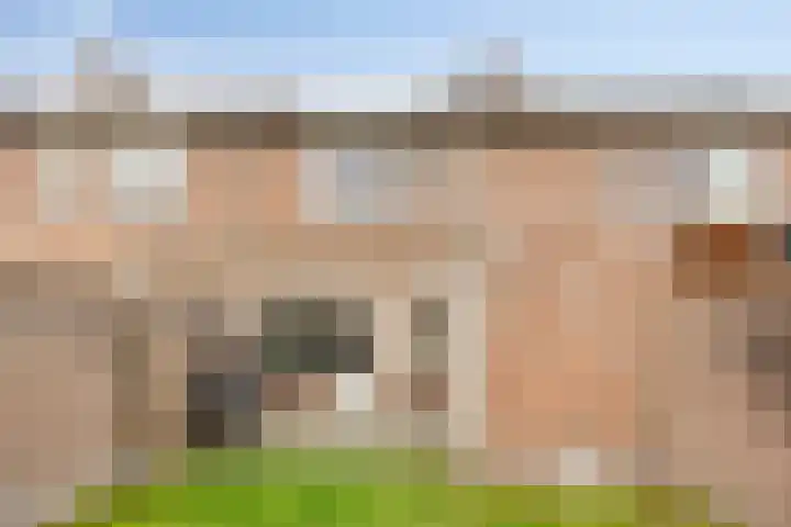 Jadedijk 6 Roosendaal thumbnail 28