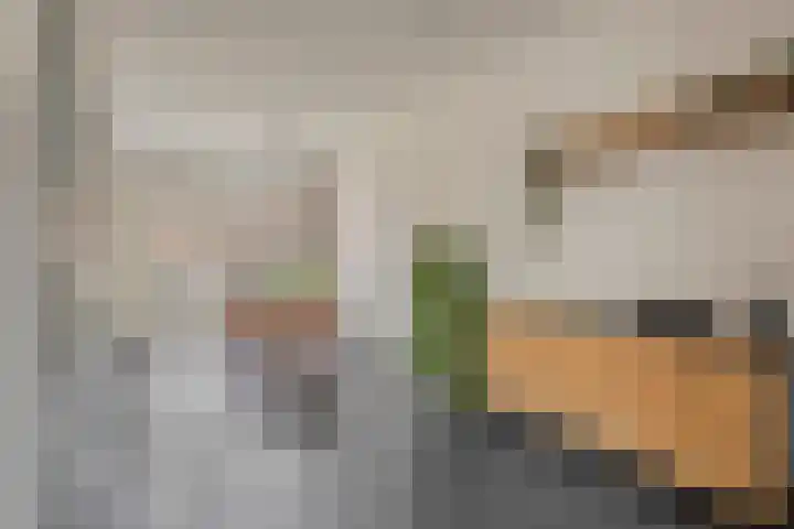 Jadedijk 6 Roosendaal thumbnail 7