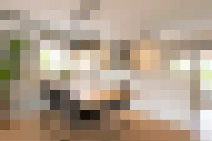 Jadedreef 23 Emmen thumbnail 10