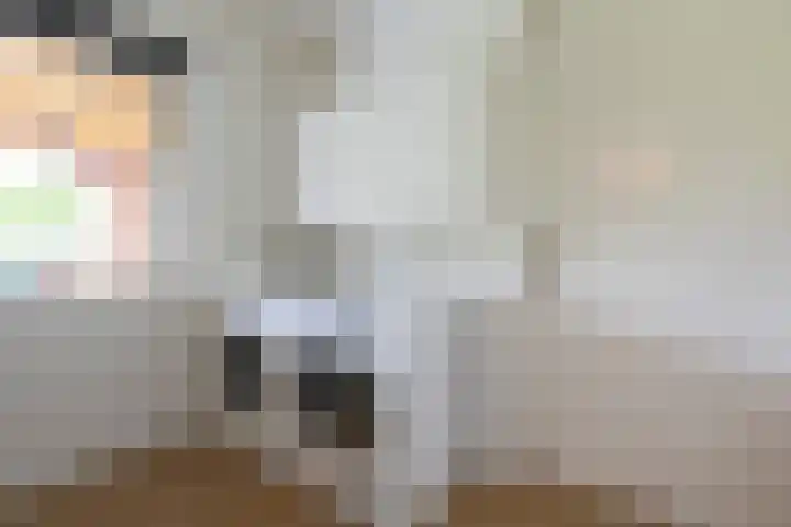 Jadedreef 23 Emmen thumbnail 14