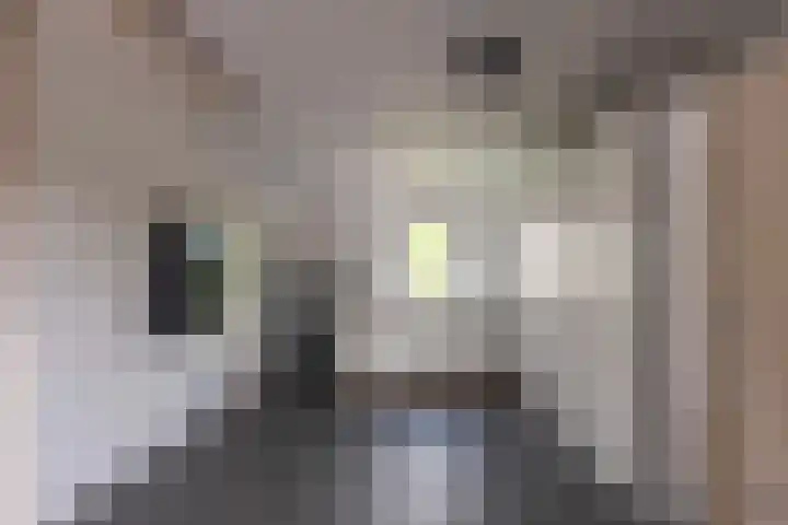 Jadedreef 23 Emmen thumbnail 17