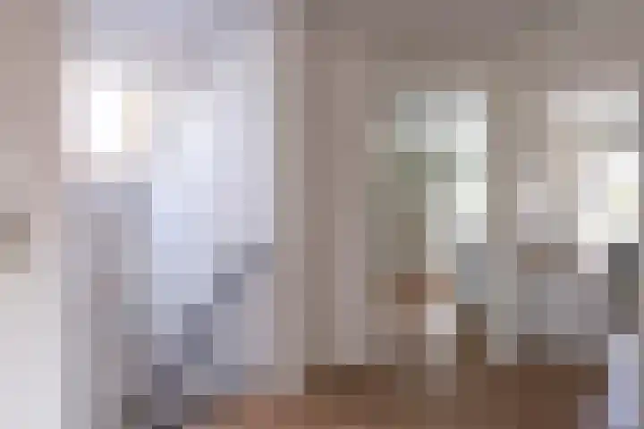 Jadedreef 23 Emmen thumbnail 18