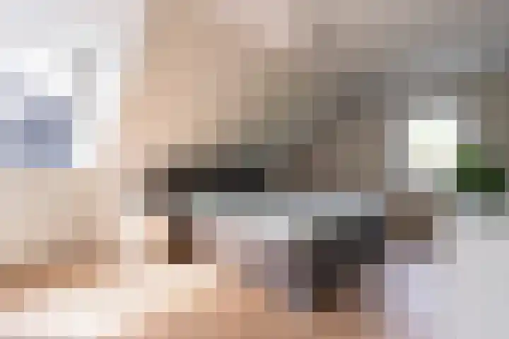 Jadedreef 23 Emmen thumbnail 19