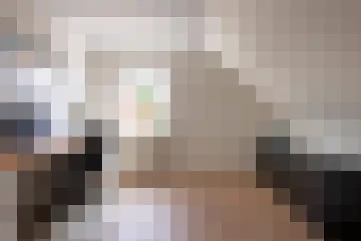 Jadedreef 23 Emmen thumbnail 20