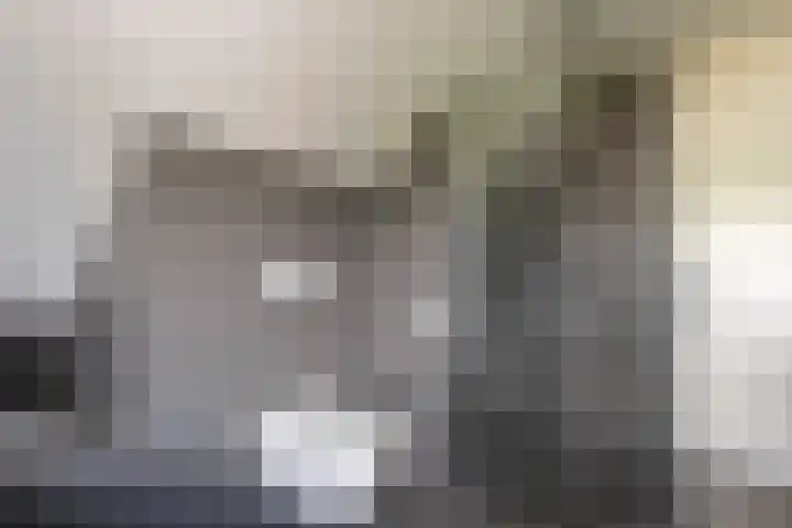 Jadedreef 23 Emmen thumbnail 22