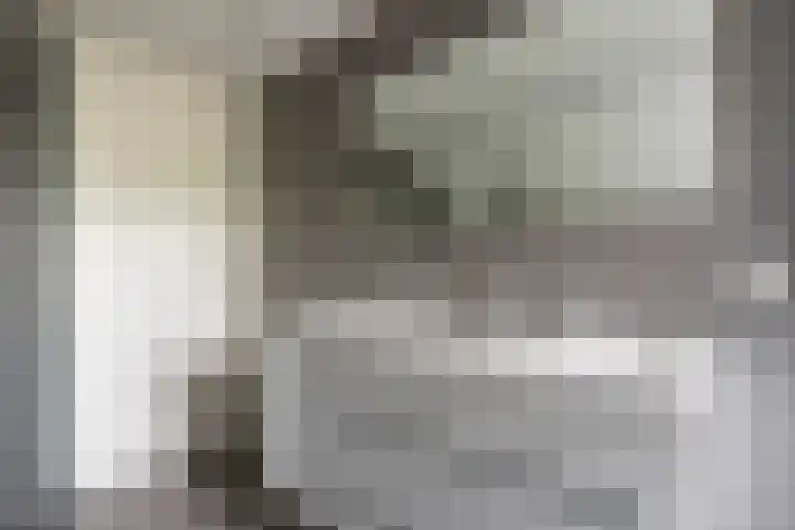 Jadedreef 23 Emmen thumbnail 24