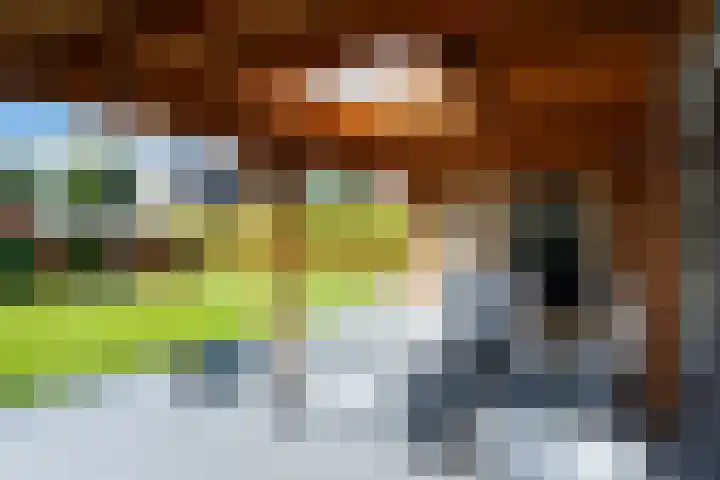Jadedreef 23 Emmen thumbnail 26