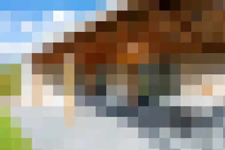 Jadedreef 23 Emmen thumbnail 27