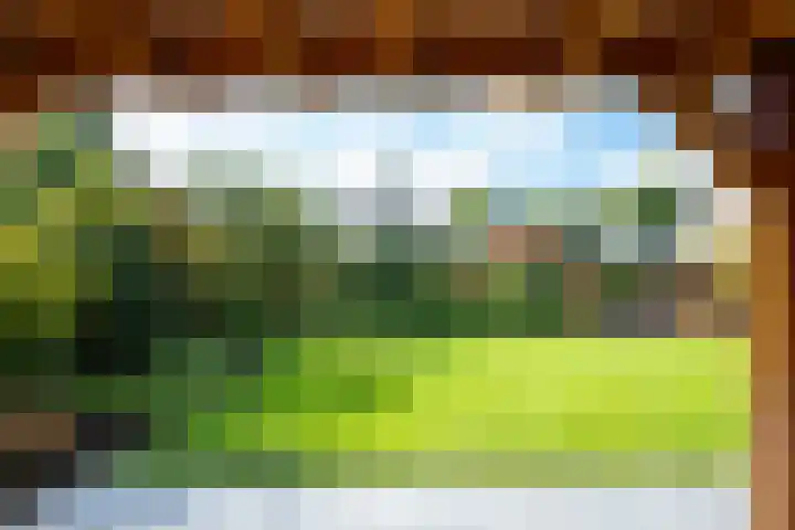 Jadedreef 23 Emmen thumbnail 28