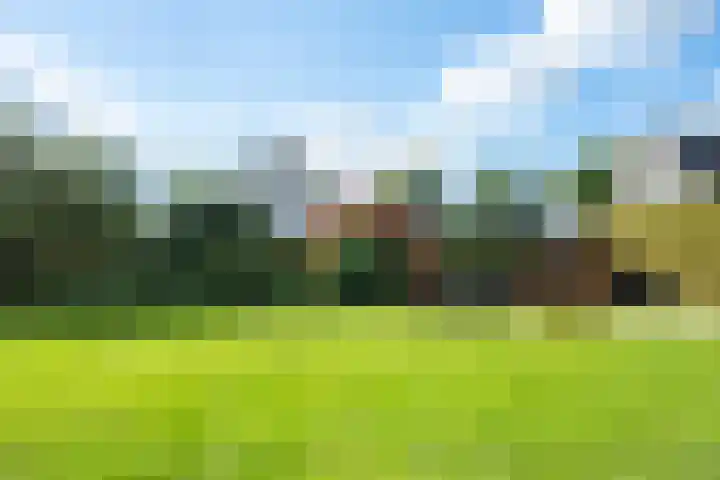 Jadedreef 23 Emmen thumbnail 29