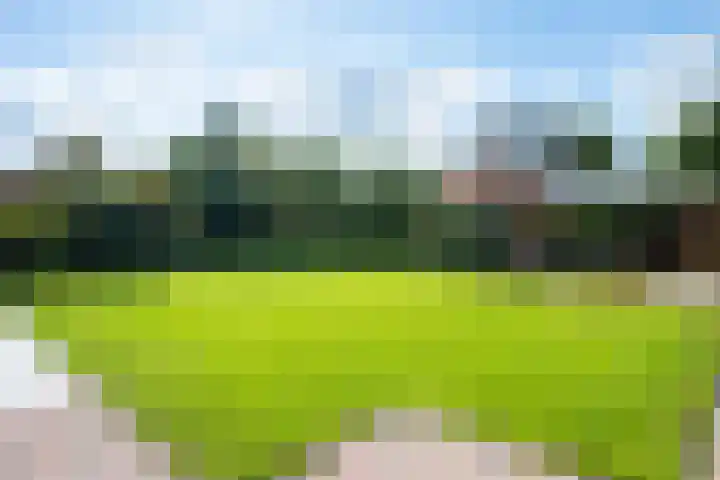 Jadedreef 23 Emmen thumbnail 30