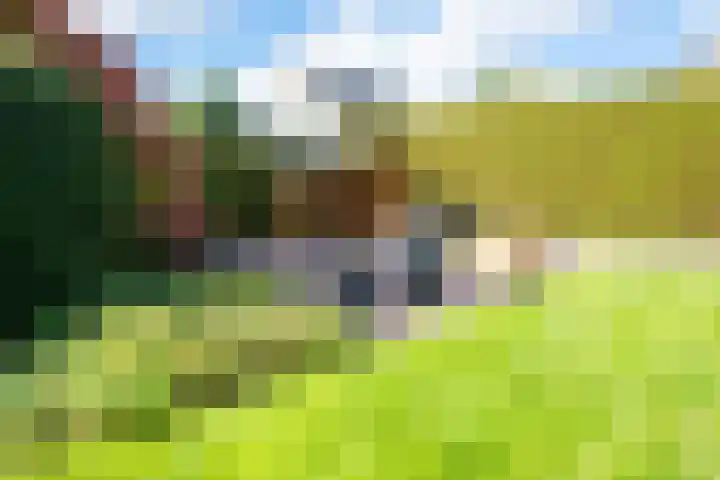 Jadedreef 23 Emmen thumbnail 31