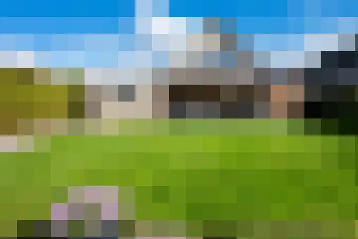 Jadedreef 23 Emmen thumbnail 33
