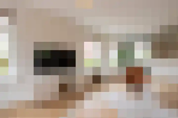Jadedreef 23 Emmen thumbnail 5