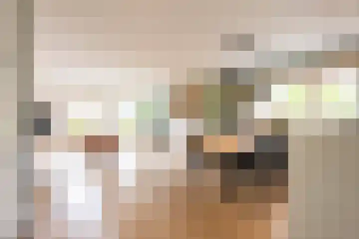 Jadedreef 23 Emmen thumbnail 7