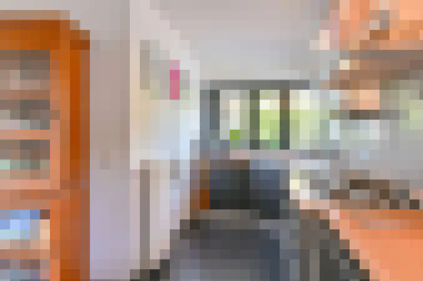 Jadedreef 7 Emmen thumbnail 29