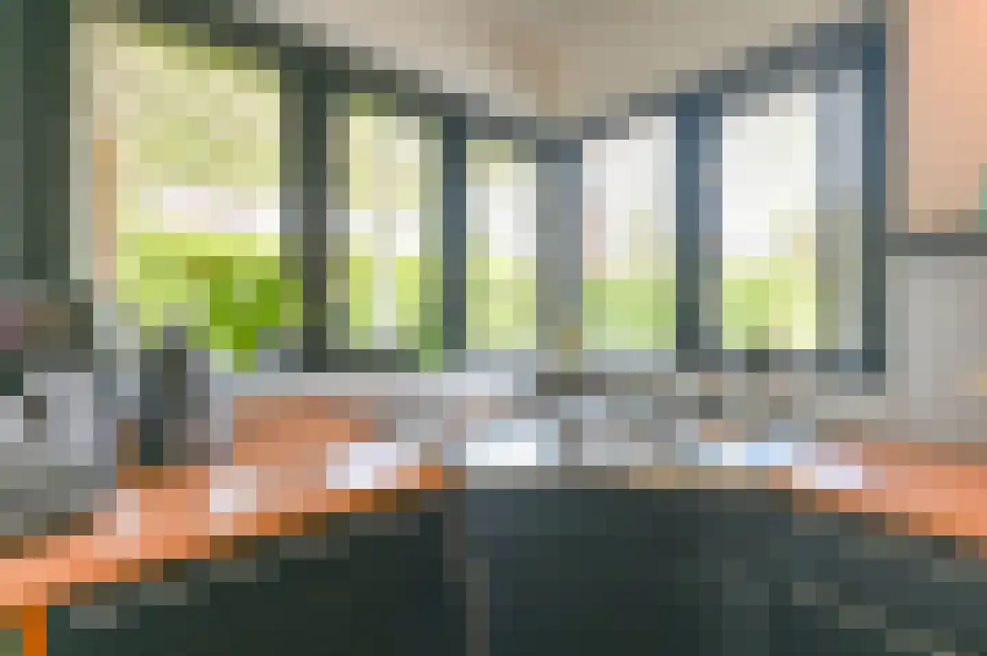 Jadedreef 7 Emmen thumbnail 30