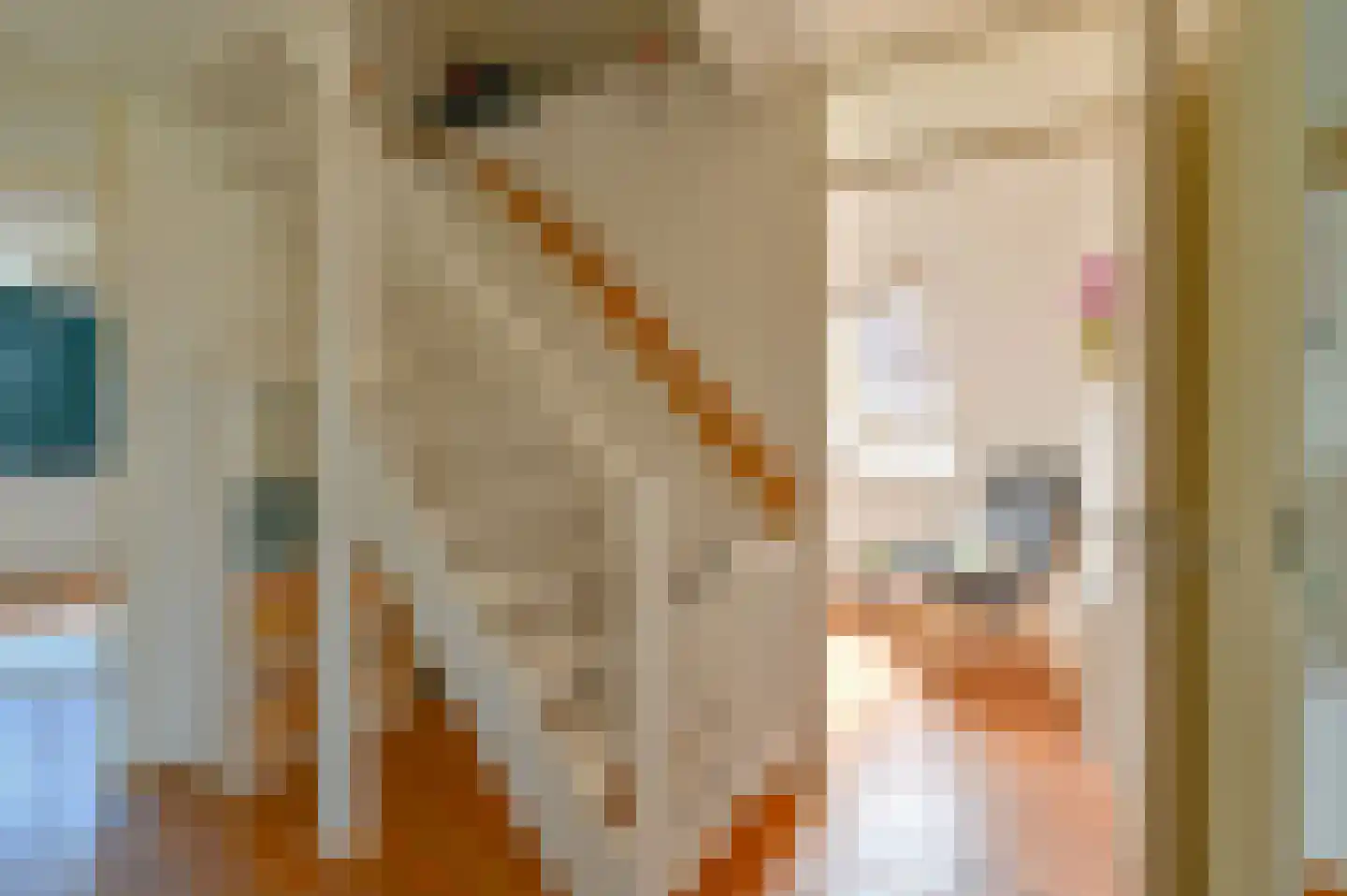 Jadedreef 7 Emmen thumbnail 39
