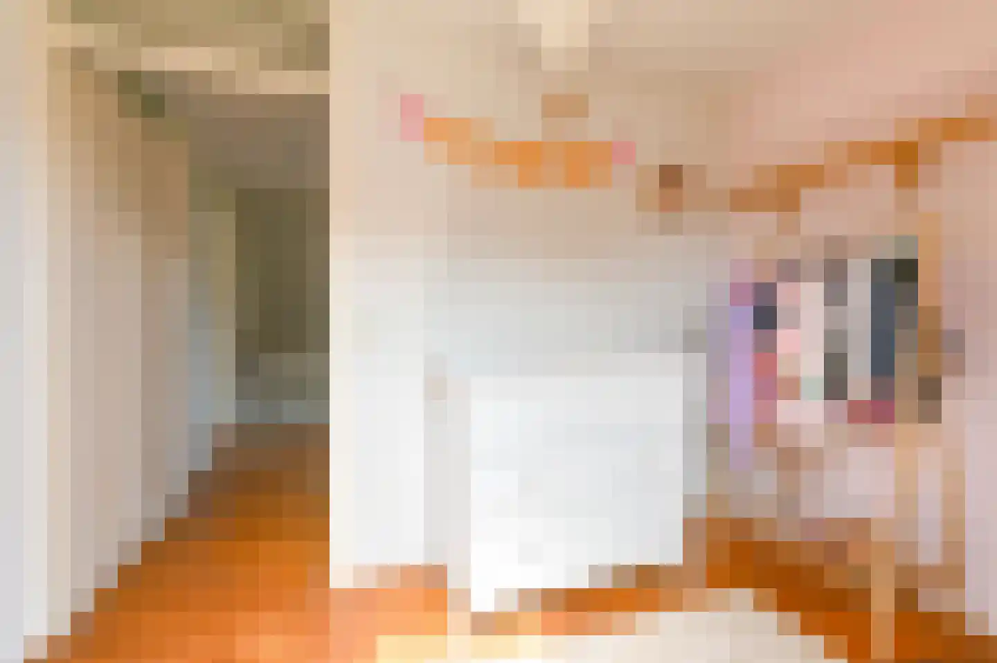 Jadedreef 7 Emmen thumbnail 43