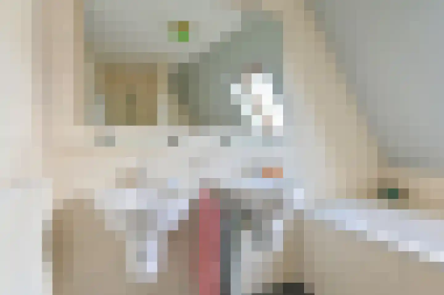 Jadedreef 7 Emmen thumbnail 59