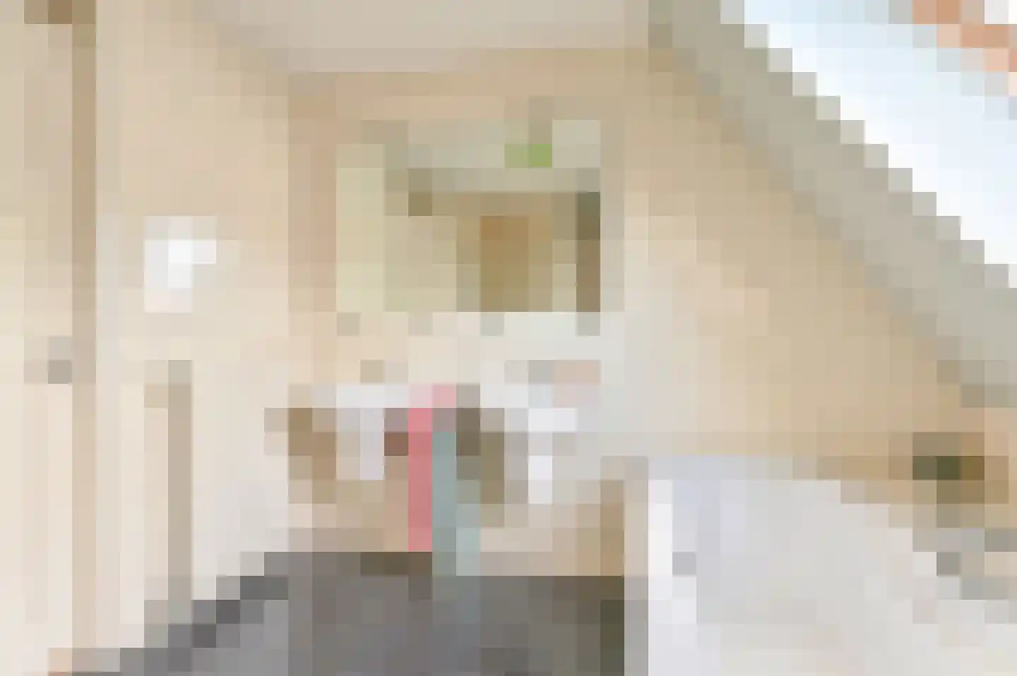 Jadedreef 7 Emmen thumbnail 61