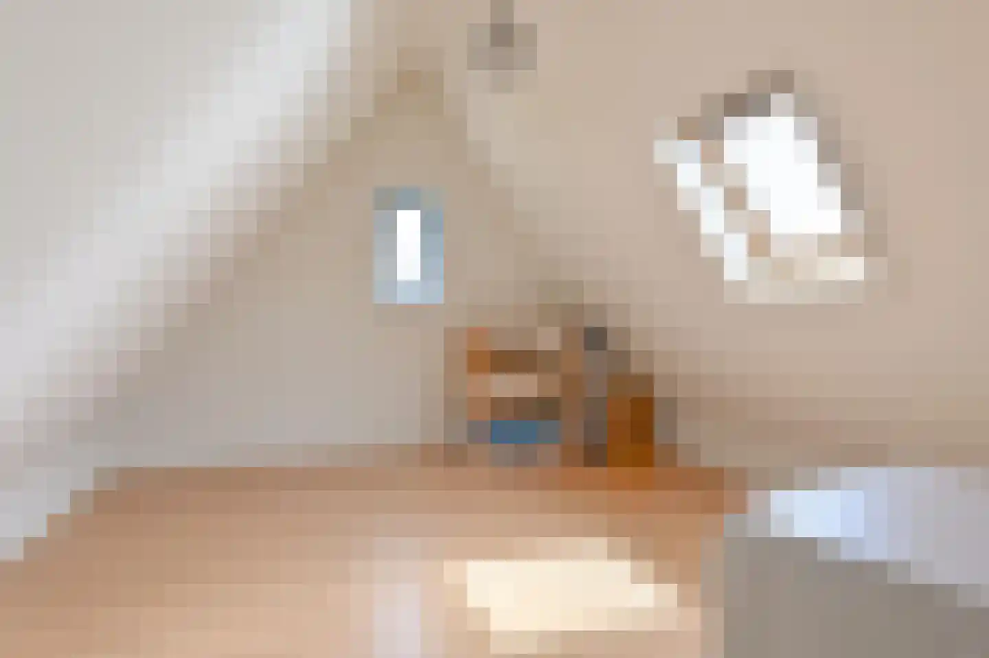 Jadedreef 7 Emmen thumbnail 68