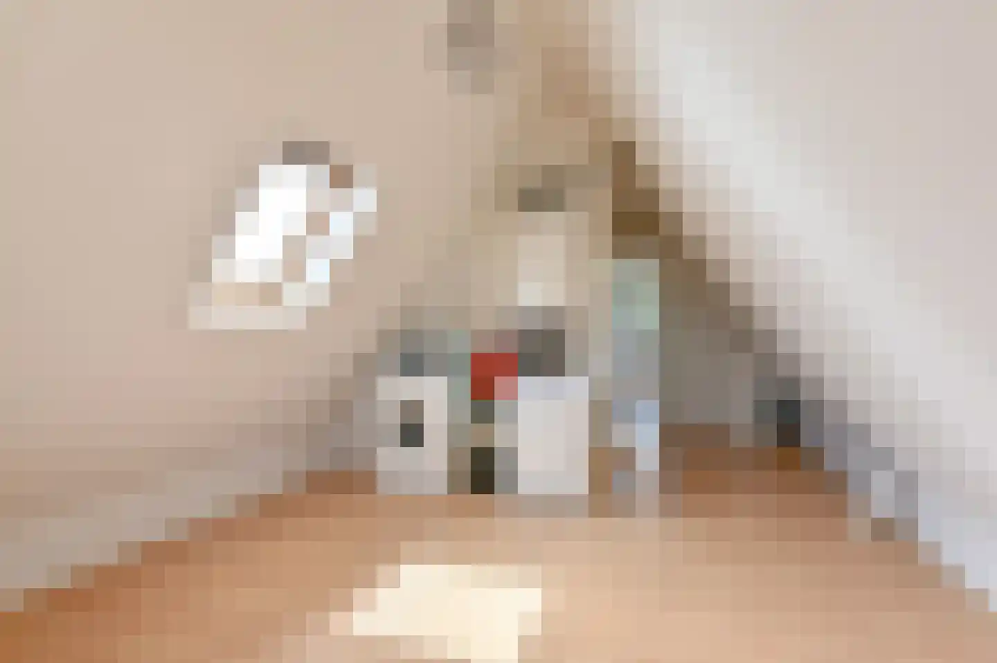 Jadedreef 7 Emmen thumbnail 69