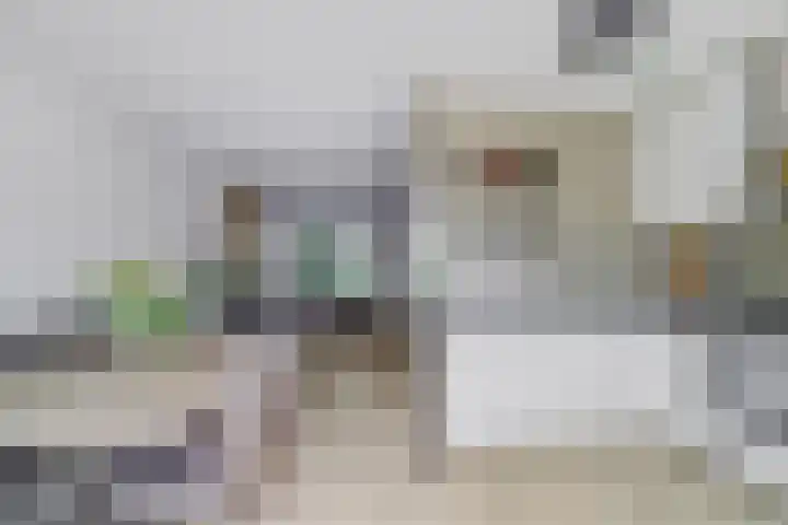 Jadedrift 14 Nieuwegein thumbnail 13