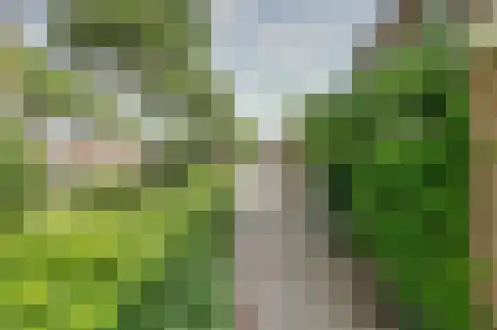 Jadedrift 14 Nieuwegein thumbnail 5