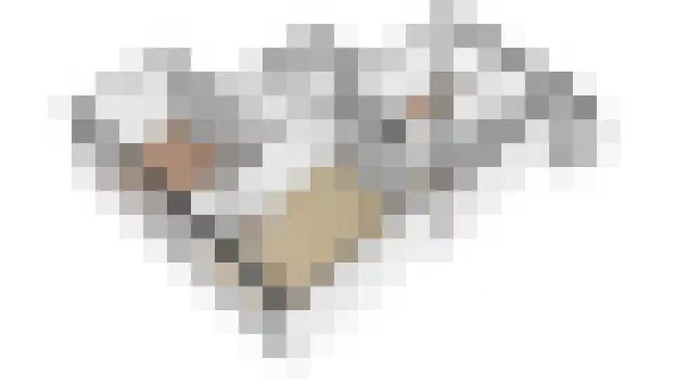 Jadelaan 12 Utrecht thumbnail 39