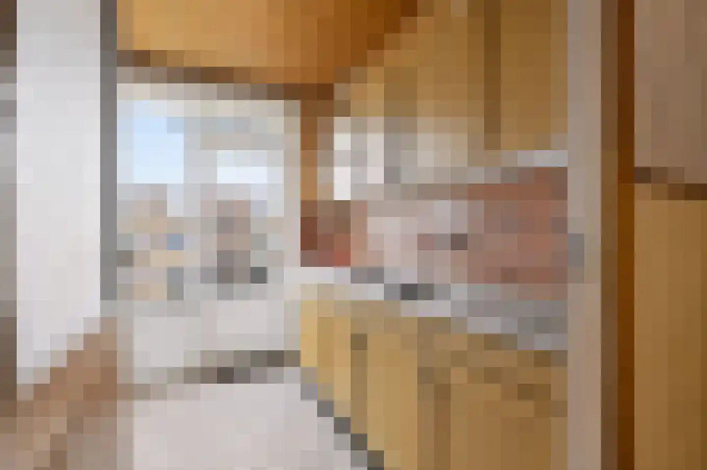 Jadelaan 12 Utrecht thumbnail 5