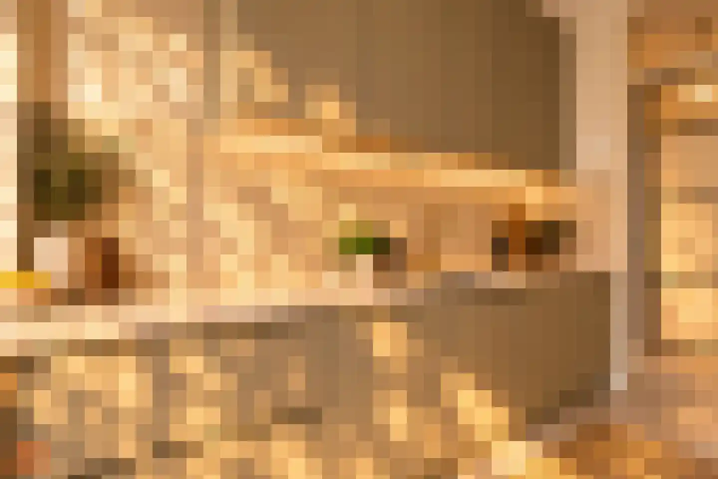 Jadelaan 12 Utrecht thumbnail 8