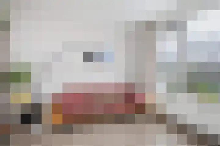 Jadelaan 28 Utrecht thumbnail 10