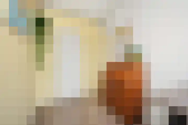 Jadelaan 28 Utrecht thumbnail 29