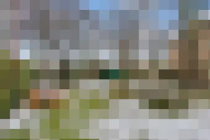 Jadelaan 28 Utrecht thumbnail 31