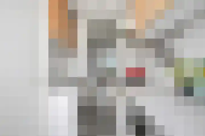 Jadelaan 28 Utrecht thumbnail 7