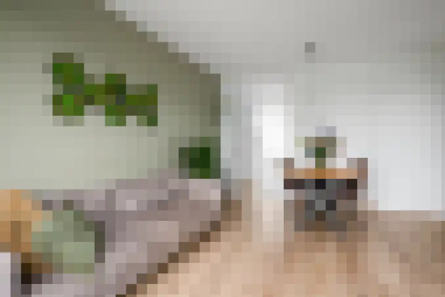 Jadelaan 47 Utrecht thumbnail 4