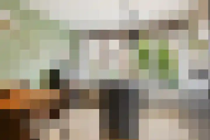 Jadelaan 52 Utrecht thumbnail 19
