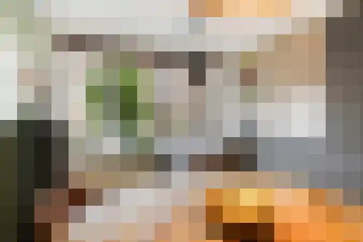 Jadelaan 52 Utrecht thumbnail 20
