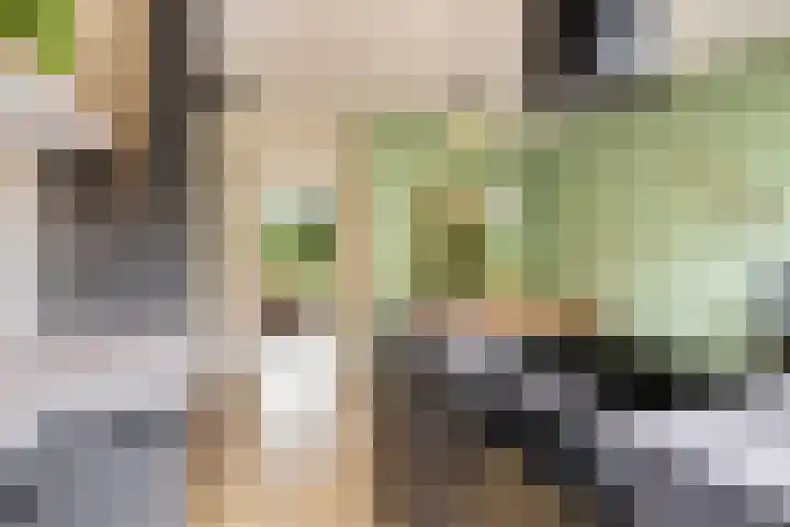 Jadelaan 52 Utrecht thumbnail 24