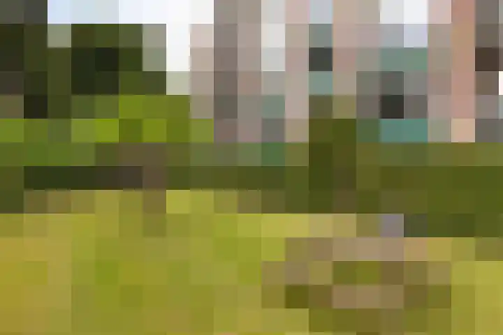 Jadelaan 52 Utrecht thumbnail 38