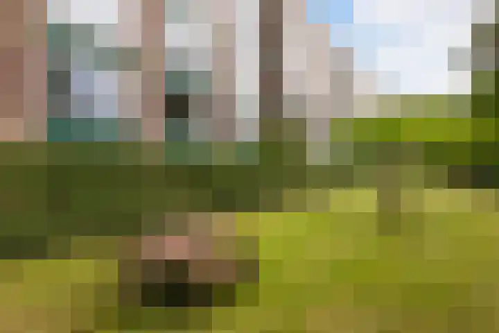 Jadelaan 52 Utrecht thumbnail 39