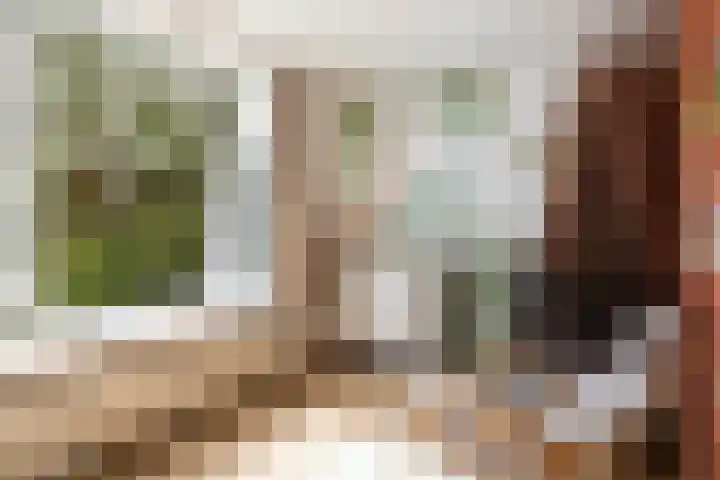 Jadelaan 52 Utrecht thumbnail 4