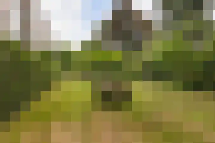Jadelaan 52 Utrecht thumbnail 40
